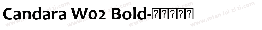 Candara W02 Bold字体转换